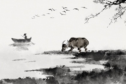 本周生肖牛命运（7.26-8.1）