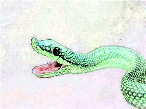 1977年属蛇2022年刑太岁运势怎么样,77年45岁生肖蛇犯太岁破解方法