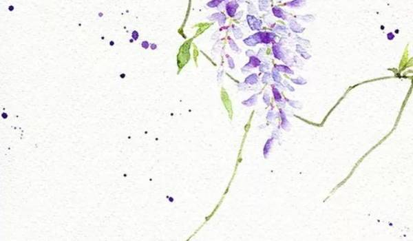 生肖鸡2021年七月正财运势喜人工资提升明显 生肖鸡2021年七月正财命运喜人工资提升明显