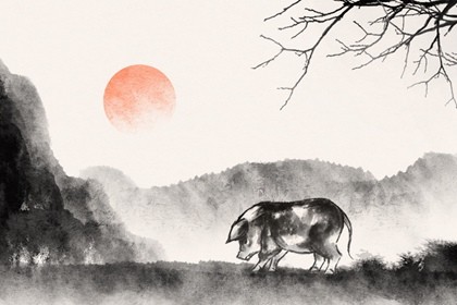 2021年七月属猪人学业运势喜人 学习成绩稳步提升 2021年七月属猪人学业命运喜人 学习成绩稳步提升