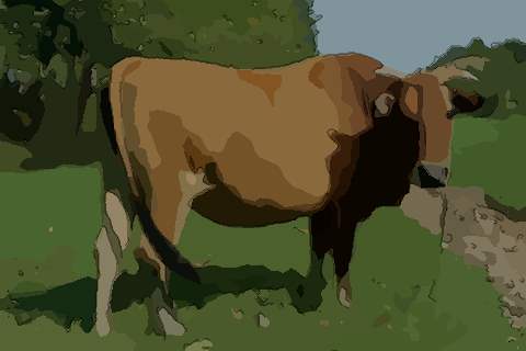 2021本命年要不要穿红 属牛本命年需要一整年穿红吗