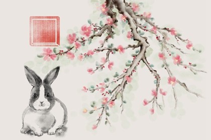 2021年9月份属兔人想脱单就要主动出击