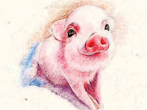 2022年属猪破太岁要注意什么，生肖猪在虎年犯太岁破解方法