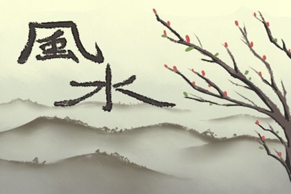 客厅适合放什么花旺财 吊兰旺财虎皮兰好 客厅适合放什么花旺财 吊兰旺财虎皮兰好