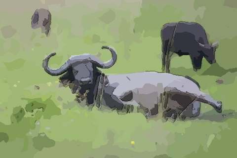 2021年属牛本命年买房子好不好