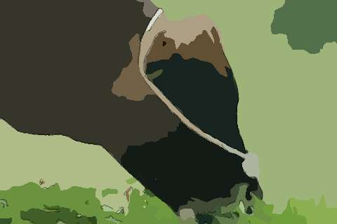 2021年属牛本命年能过生日吗