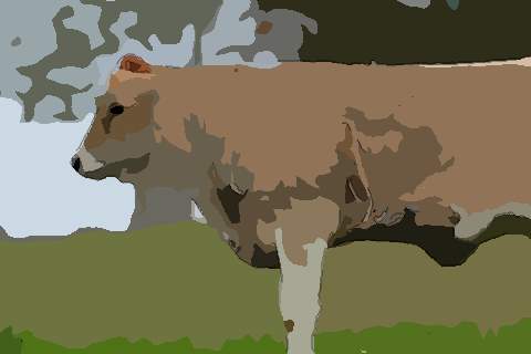 2021年属牛本命年能怀孕生孩子吗