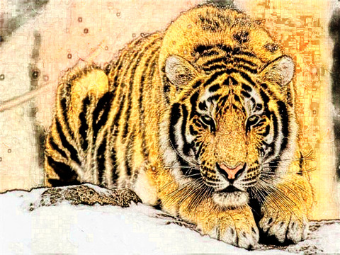 10年属虎12岁本命年生日送什么好，本命年过生日好吗