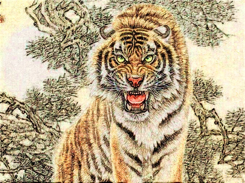 1986年属虎2022年本命年运势如何,86年生肖虎36岁本命年佩戴什么