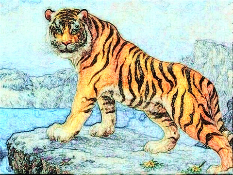 2022年属虎本命年可以生小孩吗?虎年本命年要宝宝可以吗