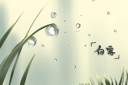 白露早寒露迟是什么意思 今年具体时间是几点