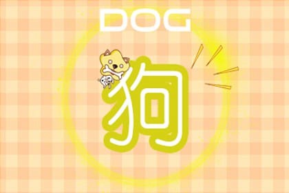 2006年出生的属狗人在2022年学业命运上升明显