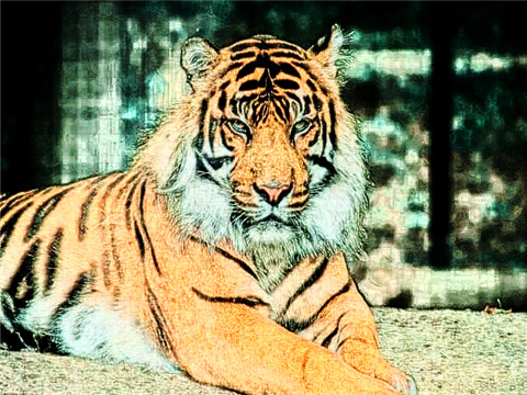 2022年属虎本命年要佩戴什么转运,虎年本命年带什么首饰最好