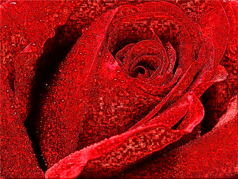 2022年属虎本命年适合穿红色吗？虎年本命年忌红色吗