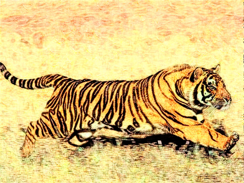 2022年属虎本命年的禁忌有哪些，虎年本命年忌讳什么事情