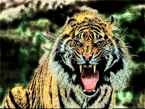 2022年属虎男性2022本命年运气如何,虎年生肖虎男本命年带什么转运