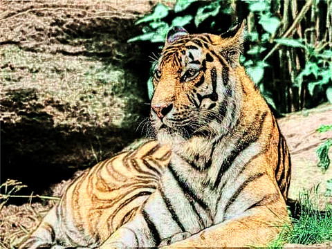 2022年犯太岁的四个属相 2022年虎年犯太岁属相