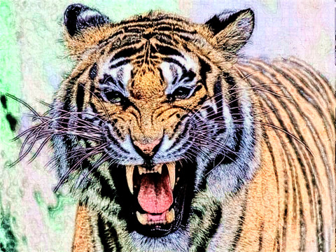 2022年属什么的犯太岁 2022年什么人犯太岁