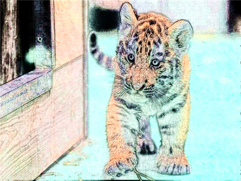 1986年属虎男2022年本命年运势 36岁本命年很可怕么