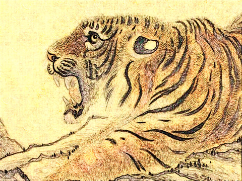 1986年属虎人2022年运势 36岁本命年犯太岁如何化解