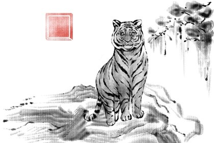 2022虎年14岁的08年鼠受凶星压制健康命运下降明显