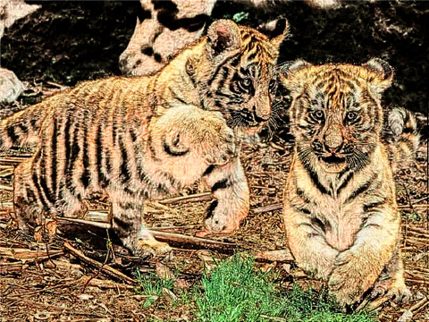 1986年36岁本命年很可怕么？86年属虎人2022年运势