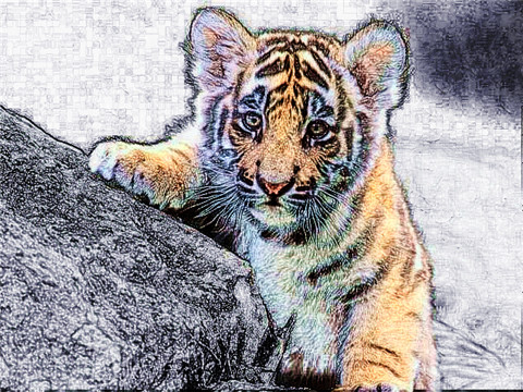 1962年60岁生肖虎人2022年运势 62年属虎本命年健康运