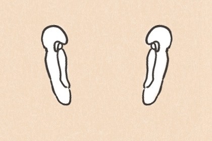 从耳朵就能看出你的福运 这几种耳形的人命最好 从耳朵就能看出你的福运 这几种耳形的人命最好