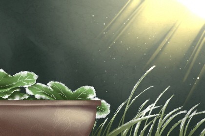 霜降是几月几号2021年 今年霜降之后天气冷吗 霜降是几月几号2021年 今年霜降之后天气冷吗