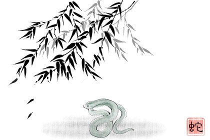 2021年十一月生肖蛇犯烂桃花可戴桃木剑提命运