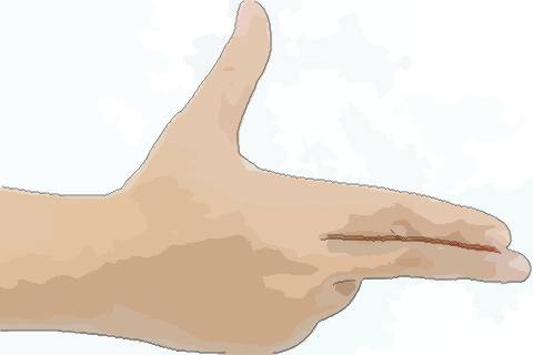 如何看手相的生命线代表什么意思