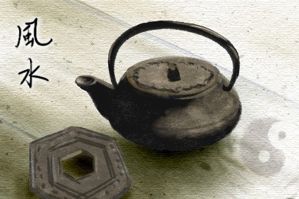 老家种什么树风水好又旺财 蓬莱松招财转运长寿吉祥 老家种什么树风水好又旺财 蓬莱松招财转运长寿吉祥