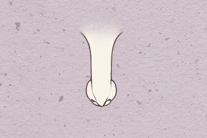 有这种同款颧骨的女人 家庭地位和社会权利极高