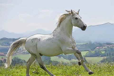 生肖马哪月出生最好命非富则贵