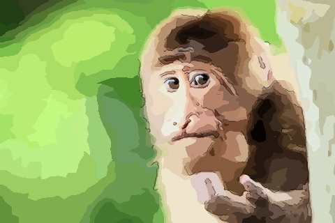 生肖猴哪月出生最好命非富则贵