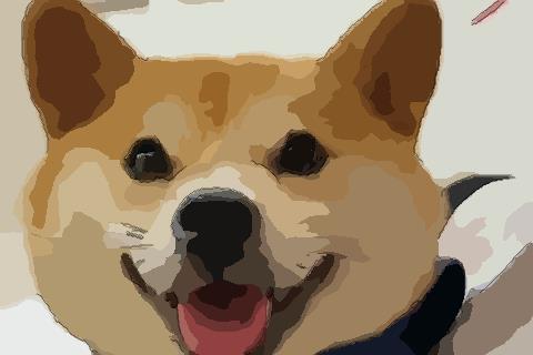 生肖狗哪月出生最好命非富则贵