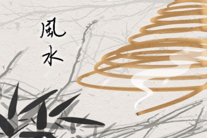 屋里摆放什么花财运能好 君子兰吉祥如意 屋里摆放什么花财运能好 君子兰吉祥如意