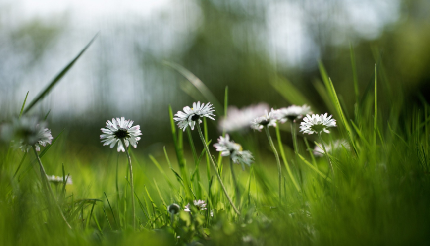 1995年属猪是什么命女 1995年属猪是火命还是木命女