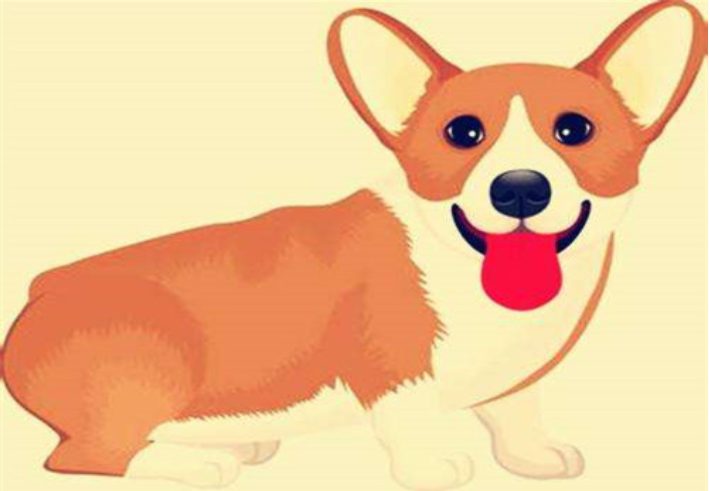 属狗和属鸡的婚姻如何 属狗和属鸡的生个什么属相的宝宝好