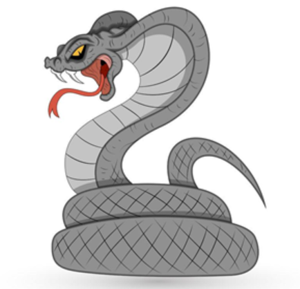 属蛇和属龙的合不合 属蛇和属龙的婚姻怎么样