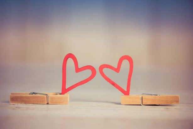 鸡和羊的属相合不合 鸡和羊的属相能婚配吗