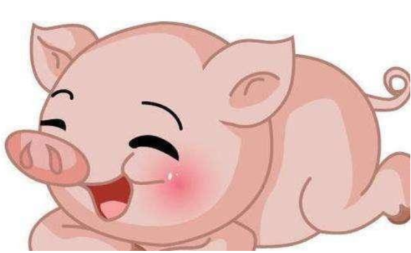 属龙和属猪的婚姻怎样 属龙和属猪的合不合财运