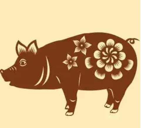 1995属猪的命运与婚姻 1995属猪的五行属性是什么