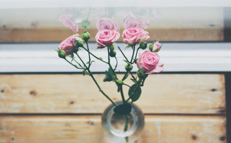 属猪的和什么属相相冲 属猪的和什么属相最配