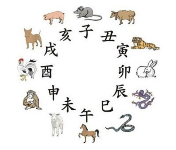 十二生肖对应十二地支其中成对应的是什么