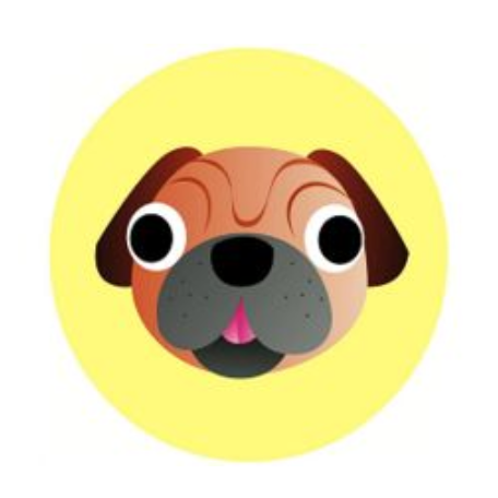 1994年属什么生肖 1994年是什么命五行属什么