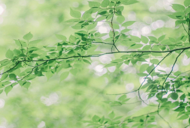 1984年五行属什么 1984年是闰年还是平年