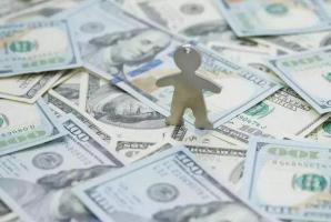 平地木命适合什么名字 五行属什么