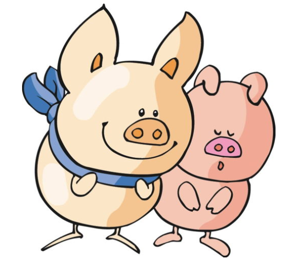 2019是什么年生肖 2019是什么年代