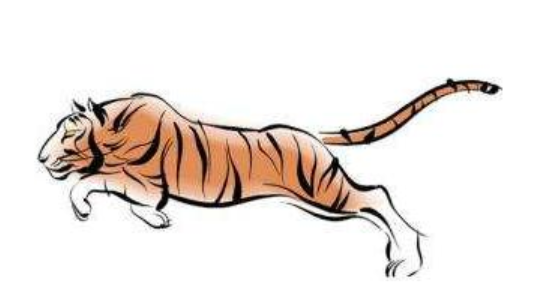 2022年属什么生肖 2022年是什么命